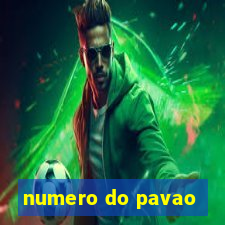 numero do pavao